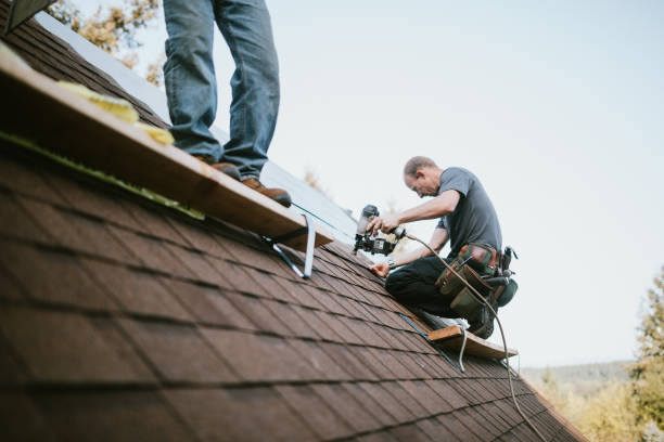 Professional Roofing Contractor in Chinchilla, PA